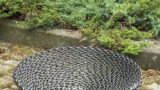 Очаг для костра из цепи 60см